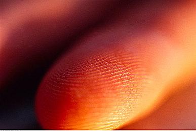 3DM速报：仙剑IP+北软已被中手游完全收购 艾尔登法环上架Steam